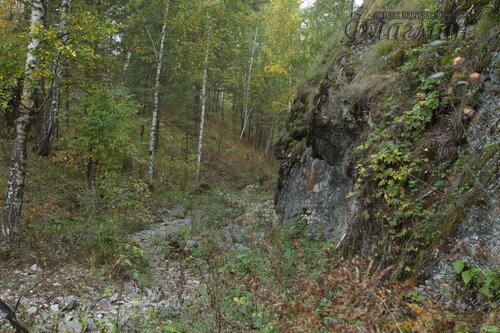 IMG_2691_r